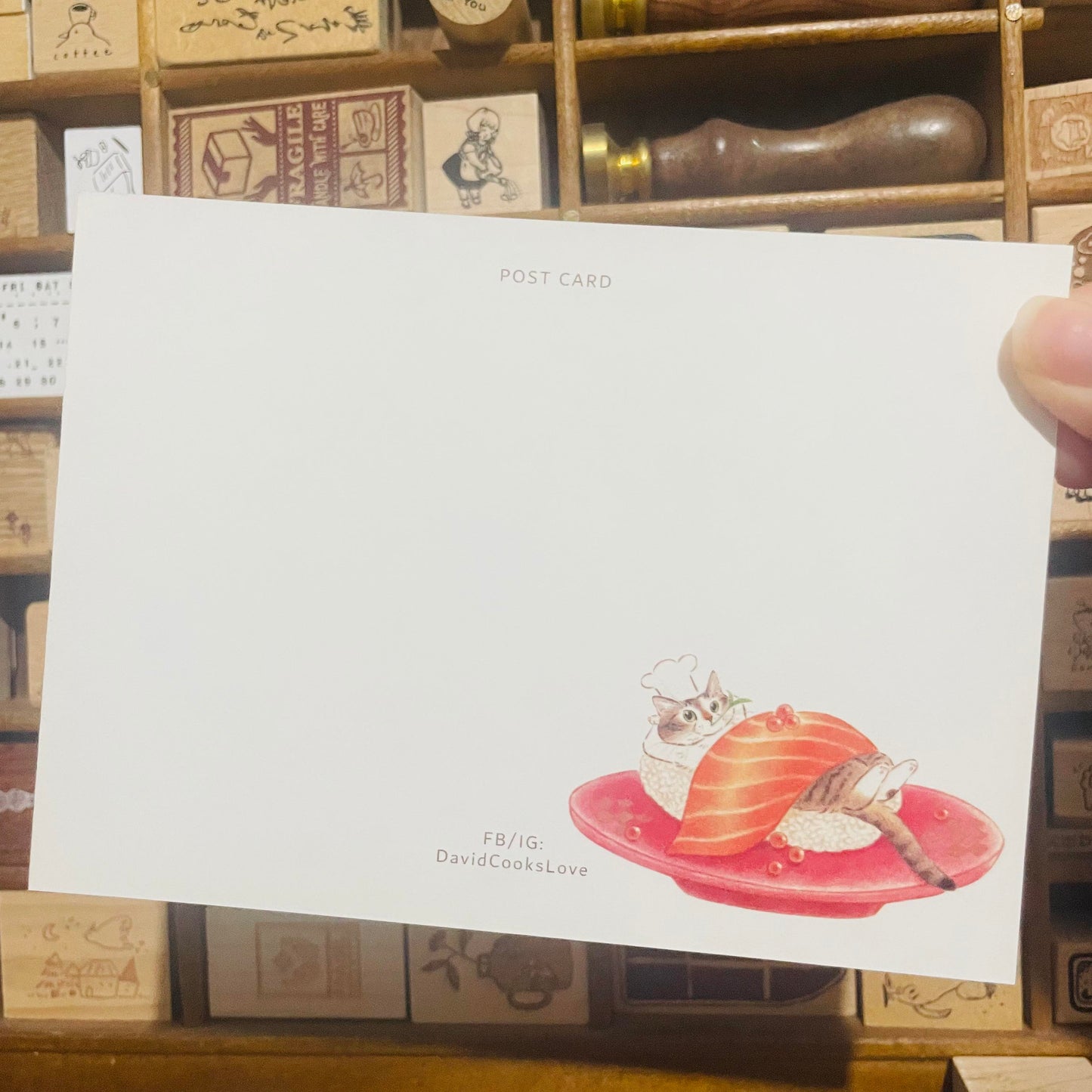 Davidcookslove Salmon Cat Postcard