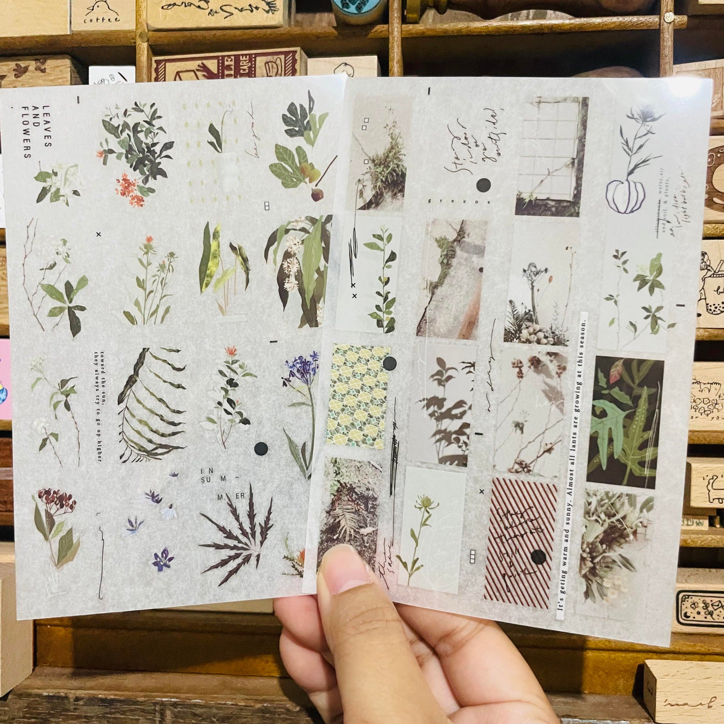 somesortoffern Green Transfer Sticker Sheet Pack