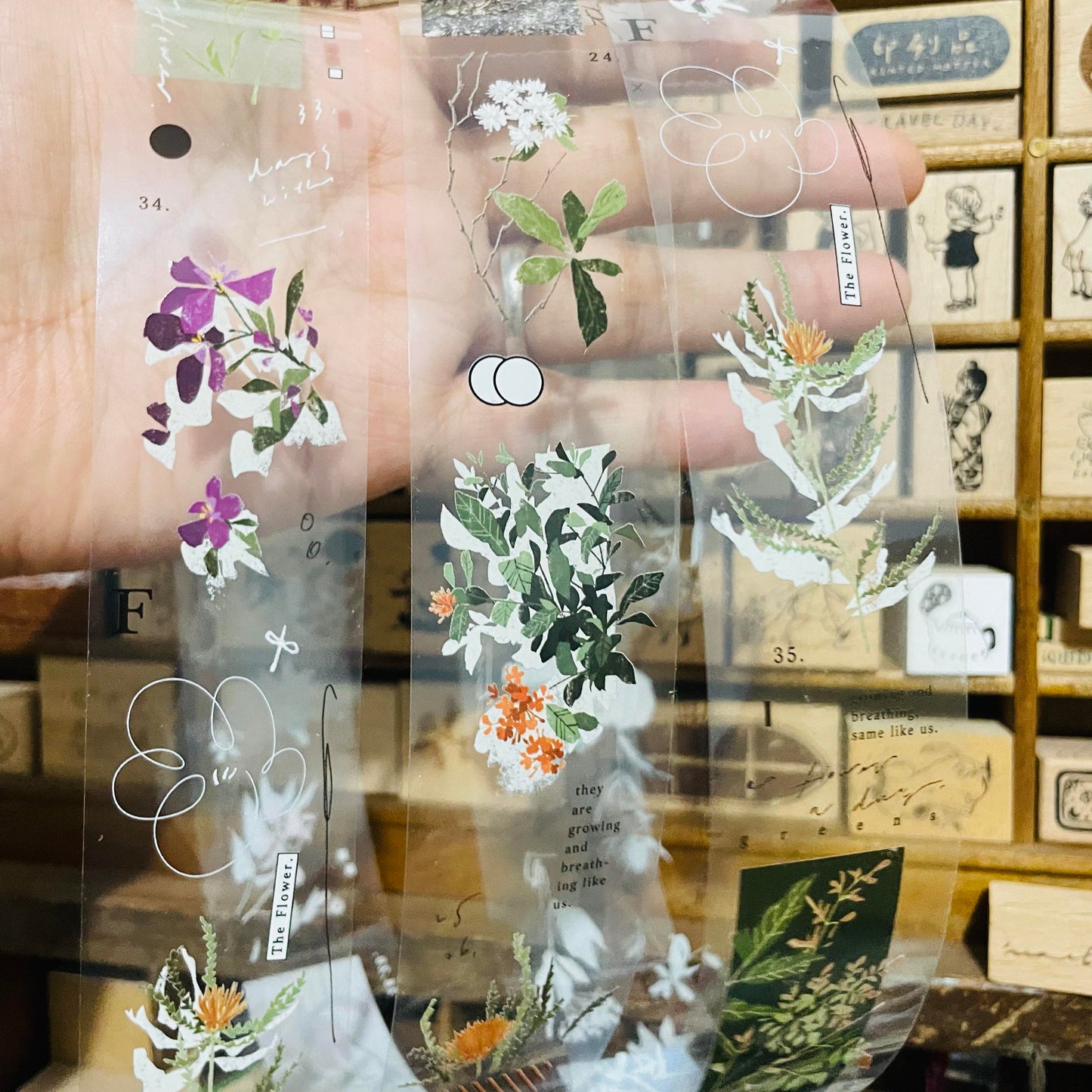 somesortoffern Days with Flowers PET Tape Roll and Samples