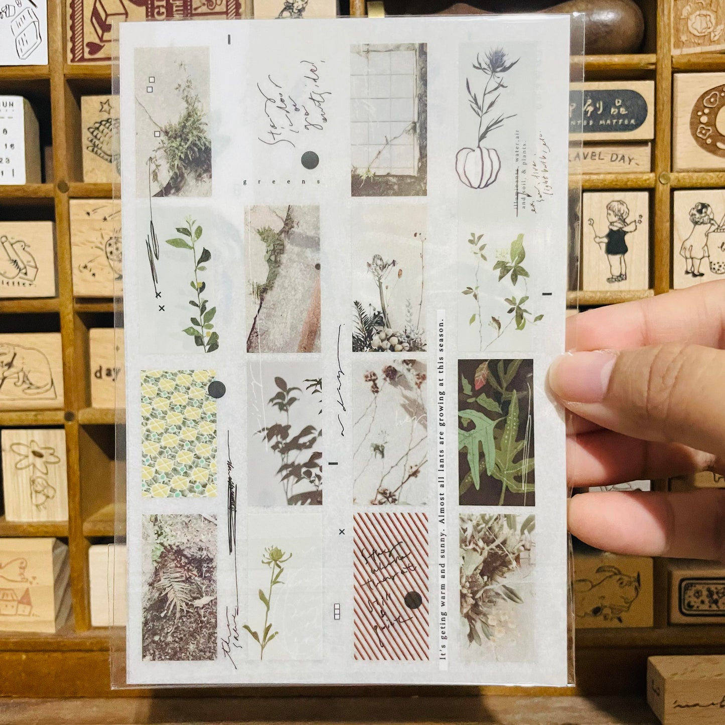 somesortoffern Green Transfer Sticker Sheet Pack