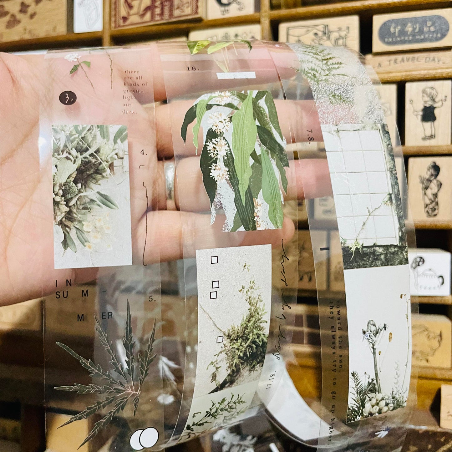 somesortoffern Days with Leaves PET Tape Roll and Samples
