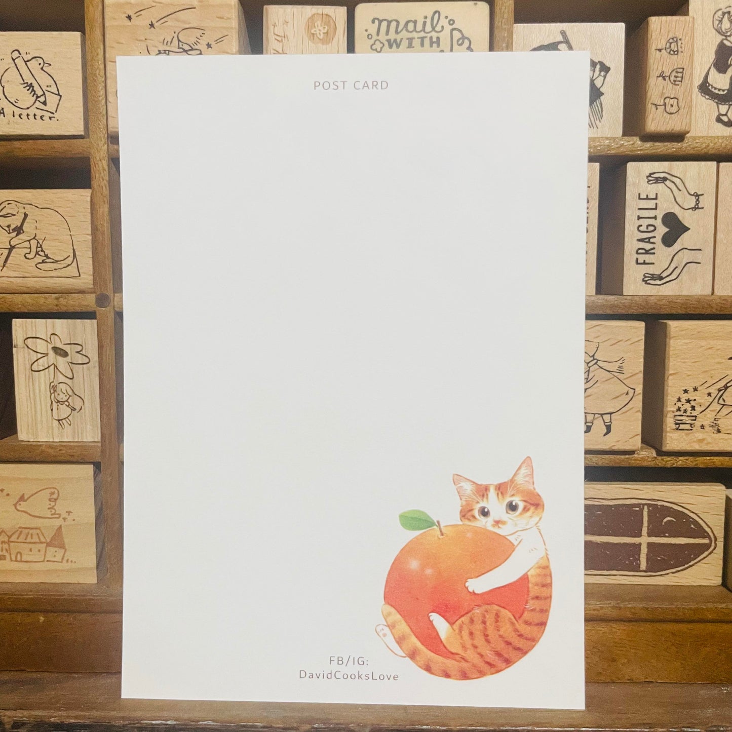 Davidcookslove Orange Cat Postcard
