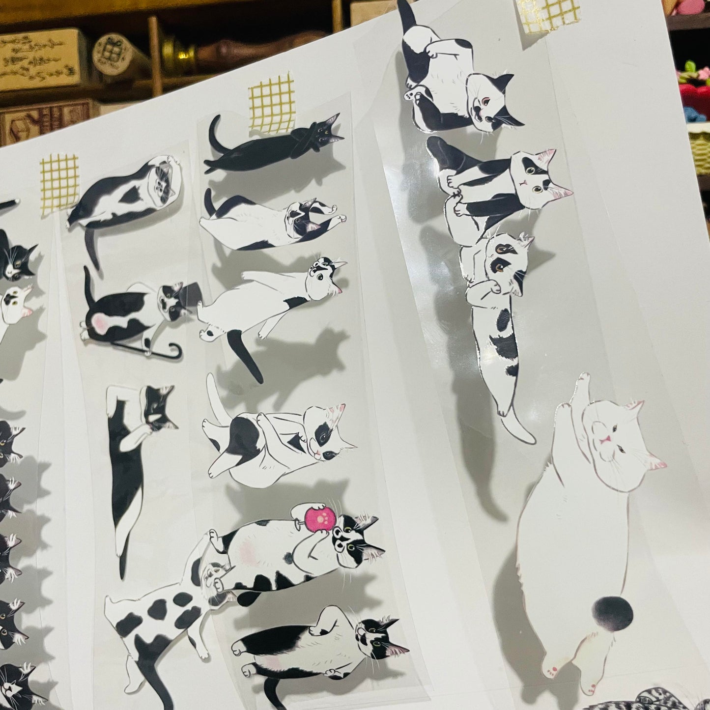 Davidcookslove Black/White Cats PET Tape Samples and Rolls