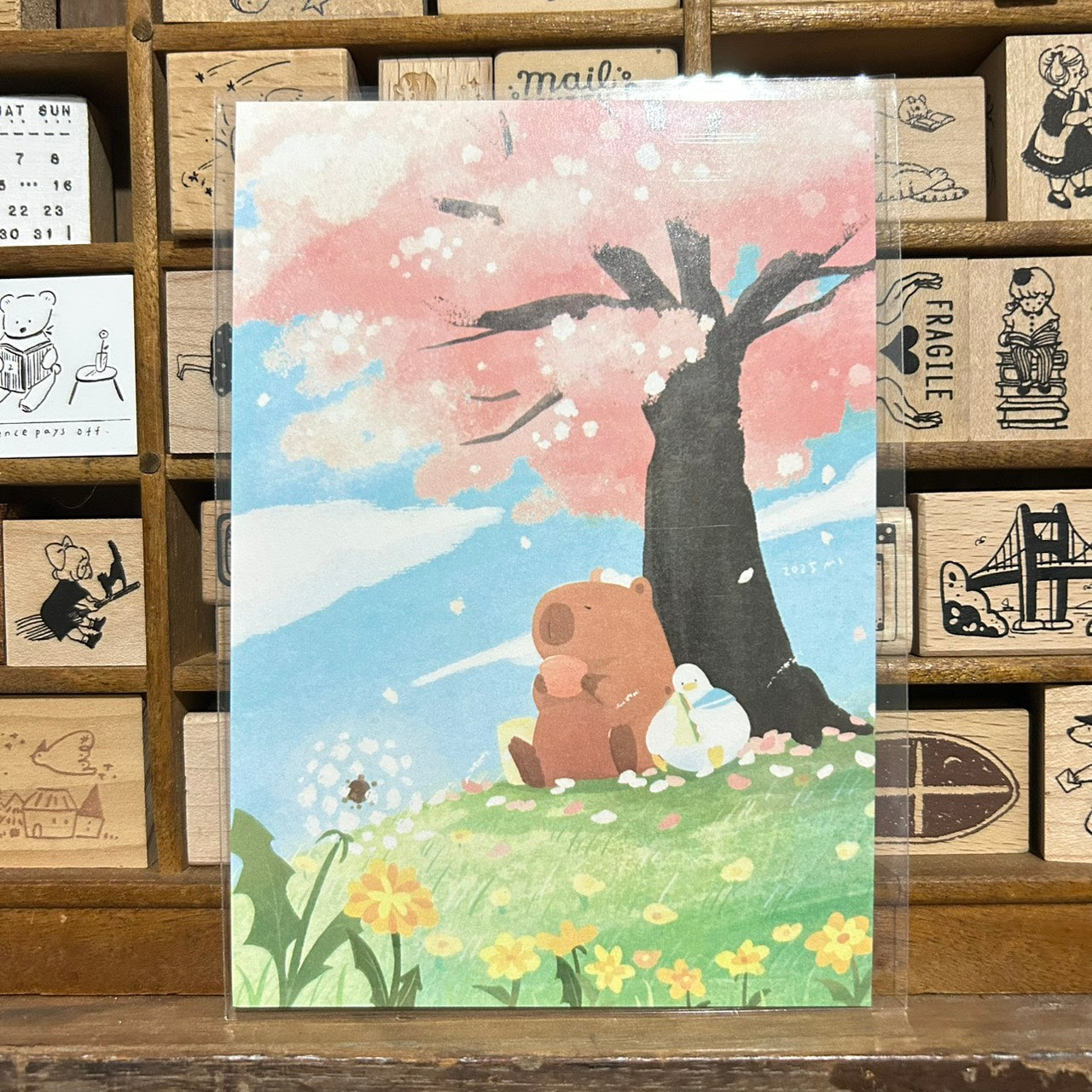 Sky Coffee Spring Postcard
