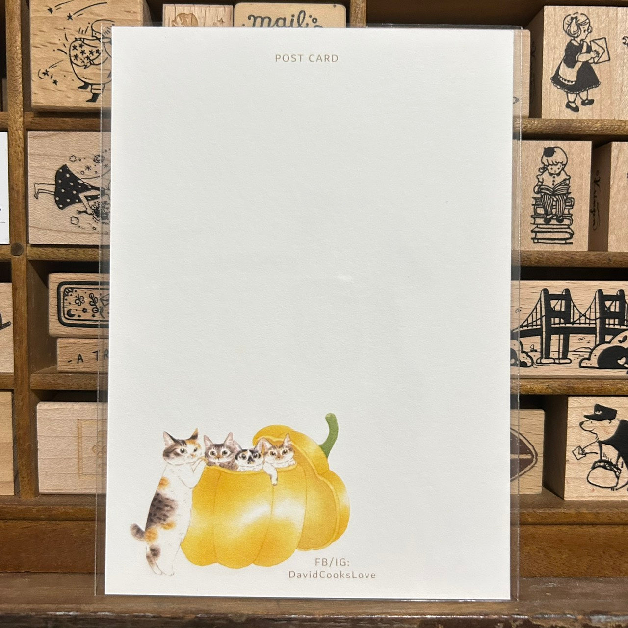 Davidcookslove Pumpkin Postcard