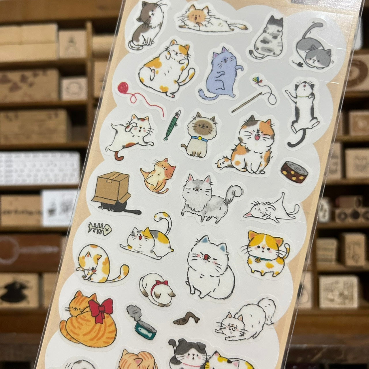 BERG Cats Cats Cats Sticker Sheet