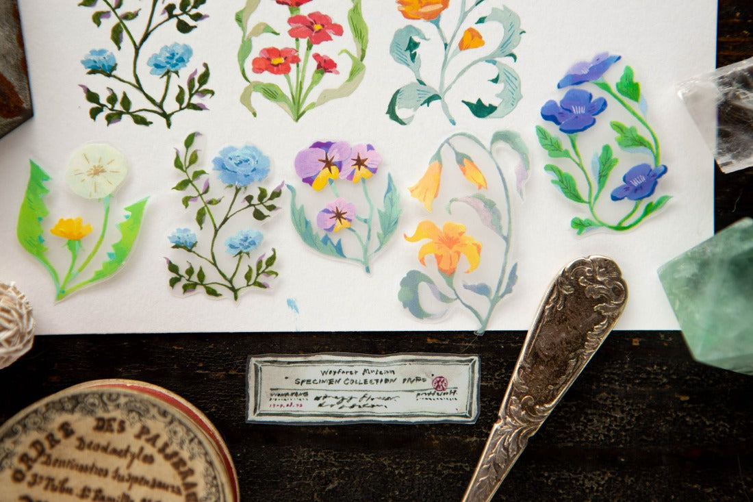 OURS Studio The Wayfarer's Journal PET Tape Roll and Samples