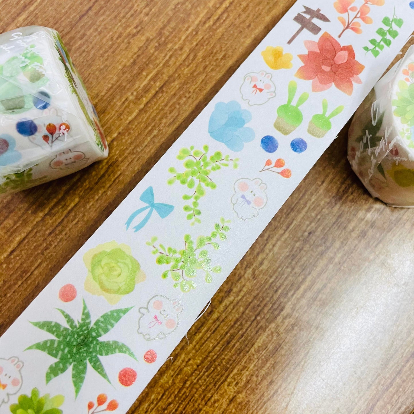 Cookie Succulent Plant Washi Tape Roll and Samples