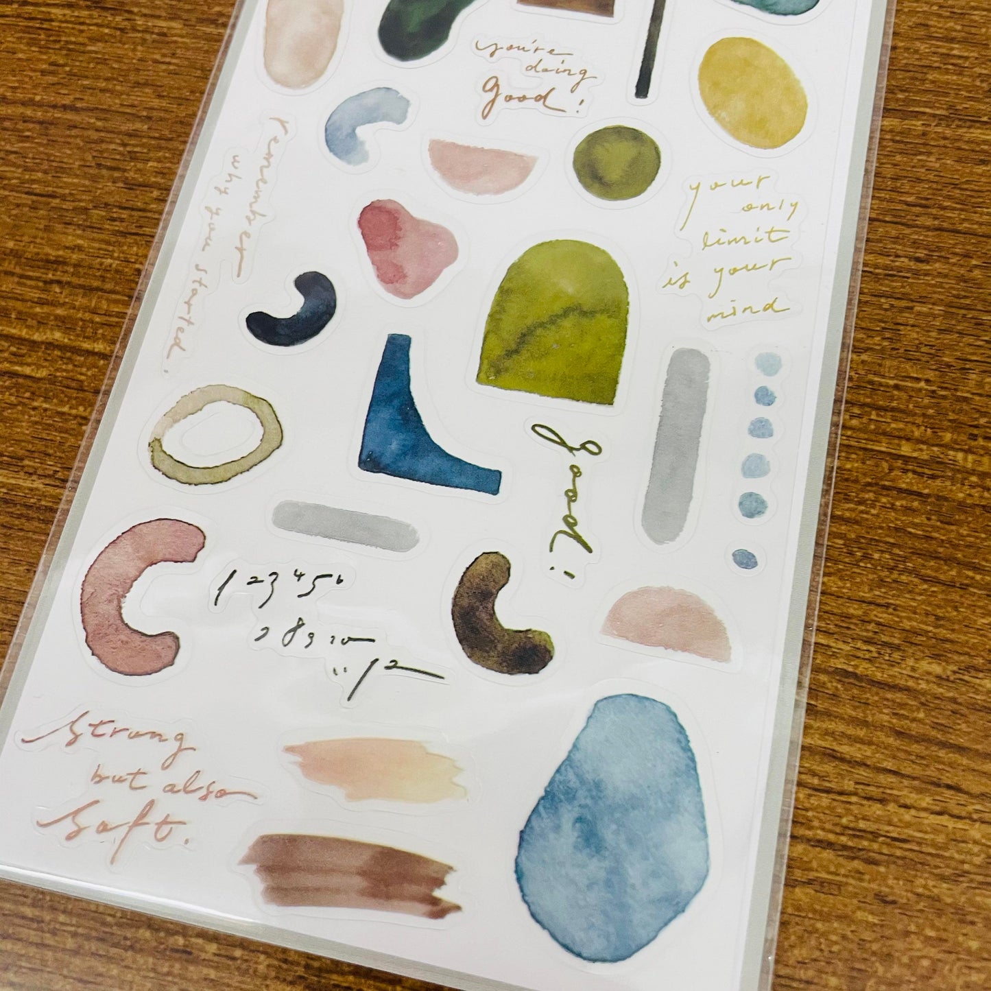 BERG X Pion Simple Shape Transparent Sticker Sheet