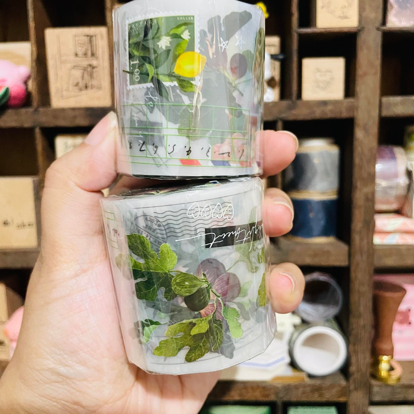 somesortoffern Fruits and Leaves PET Washi Masking Tape Roll AND Samples