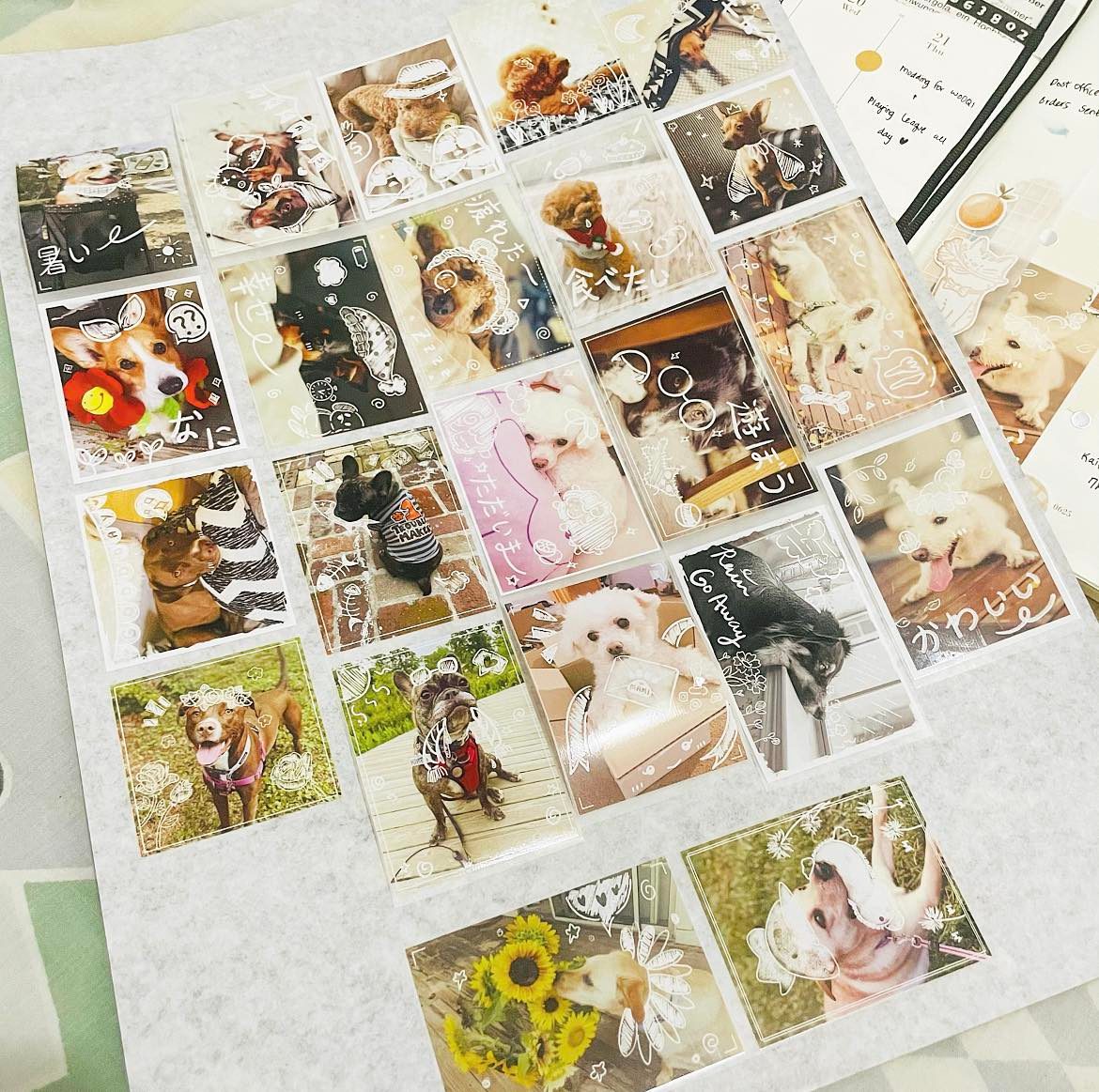 Happy Doggo Happy Life PET Tape Samples and Full Roll