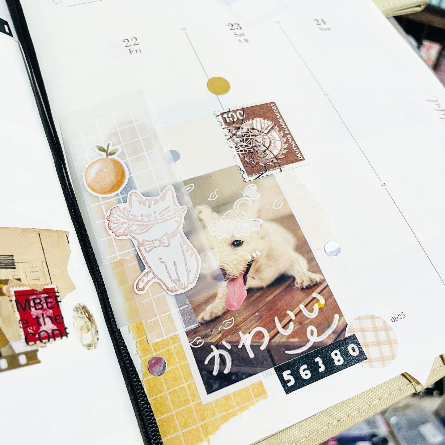 Happy Doggo Happy Life PET Tape Samples and Full Roll