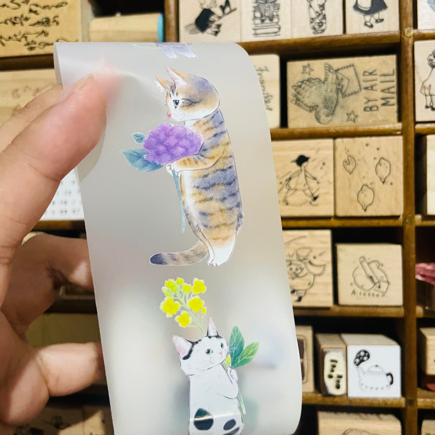 Davidcookslove Flower Cats PET Tape Samples and Rolls
