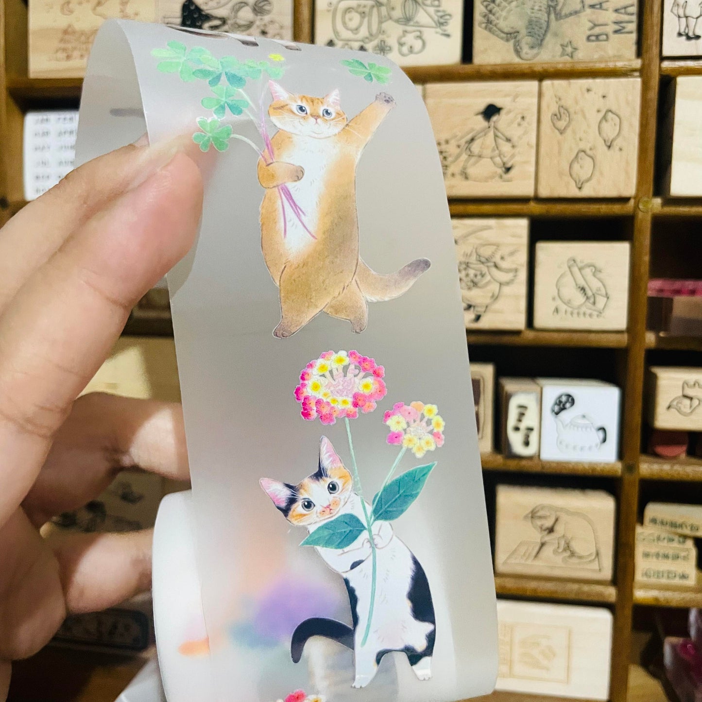 Davidcookslove Flower Cats PET Tape Samples and Rolls
