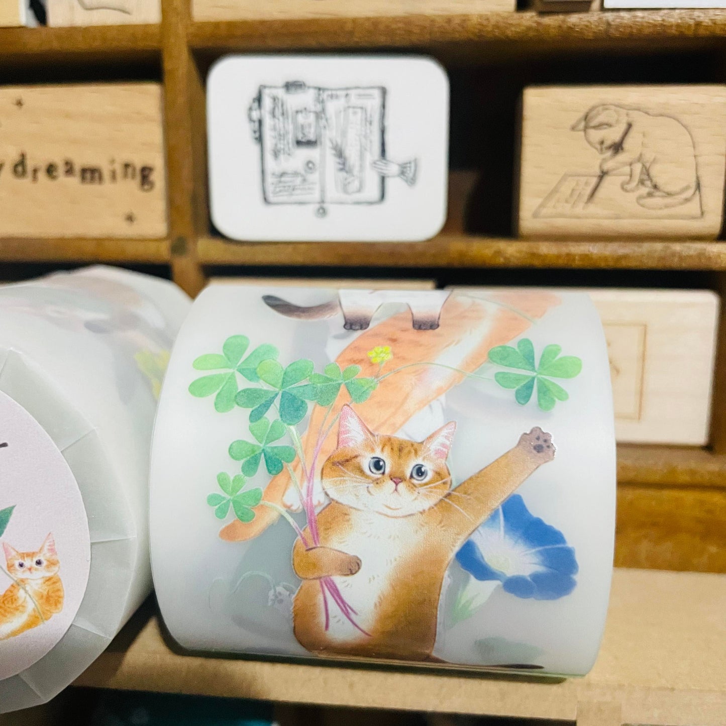 Davidcookslove Flower Cats PET Tape Samples and Rolls