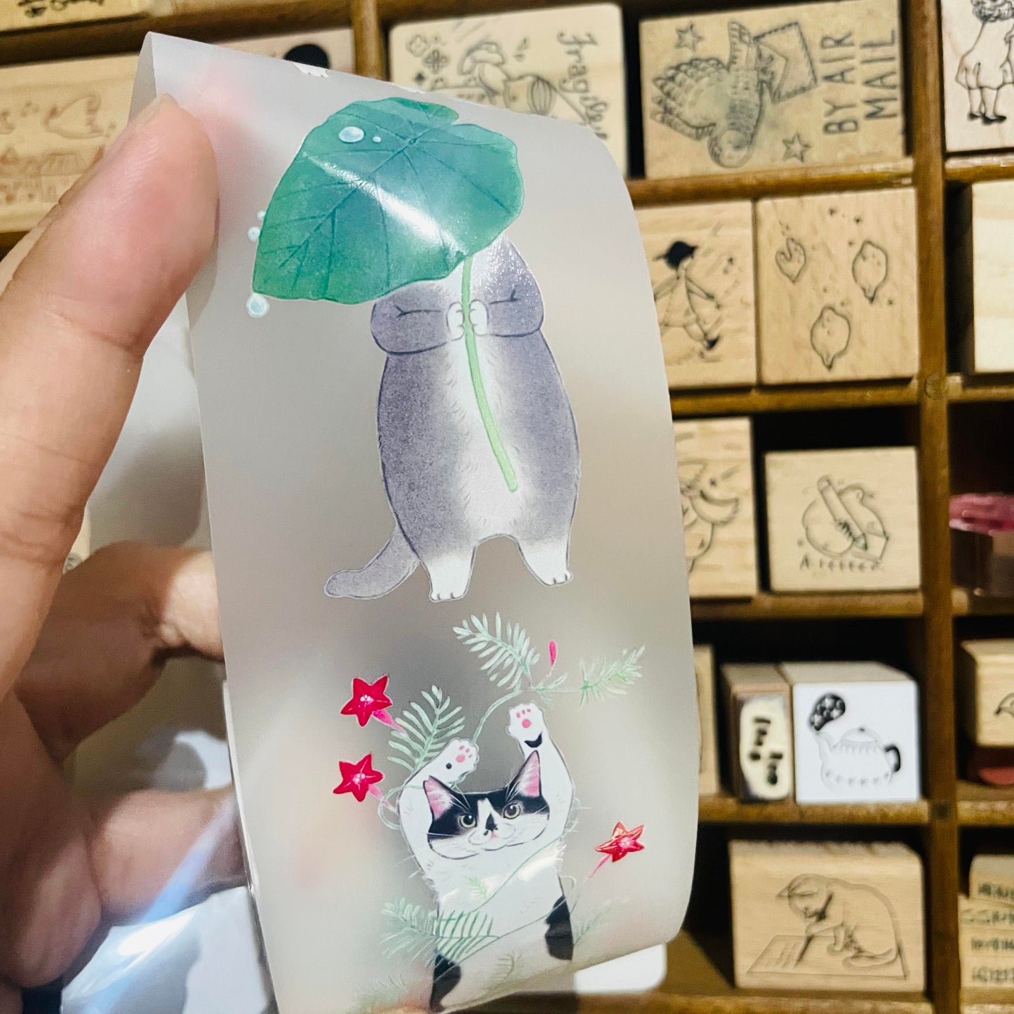 Davidcookslove Flower Cats PET Tape Samples and Rolls