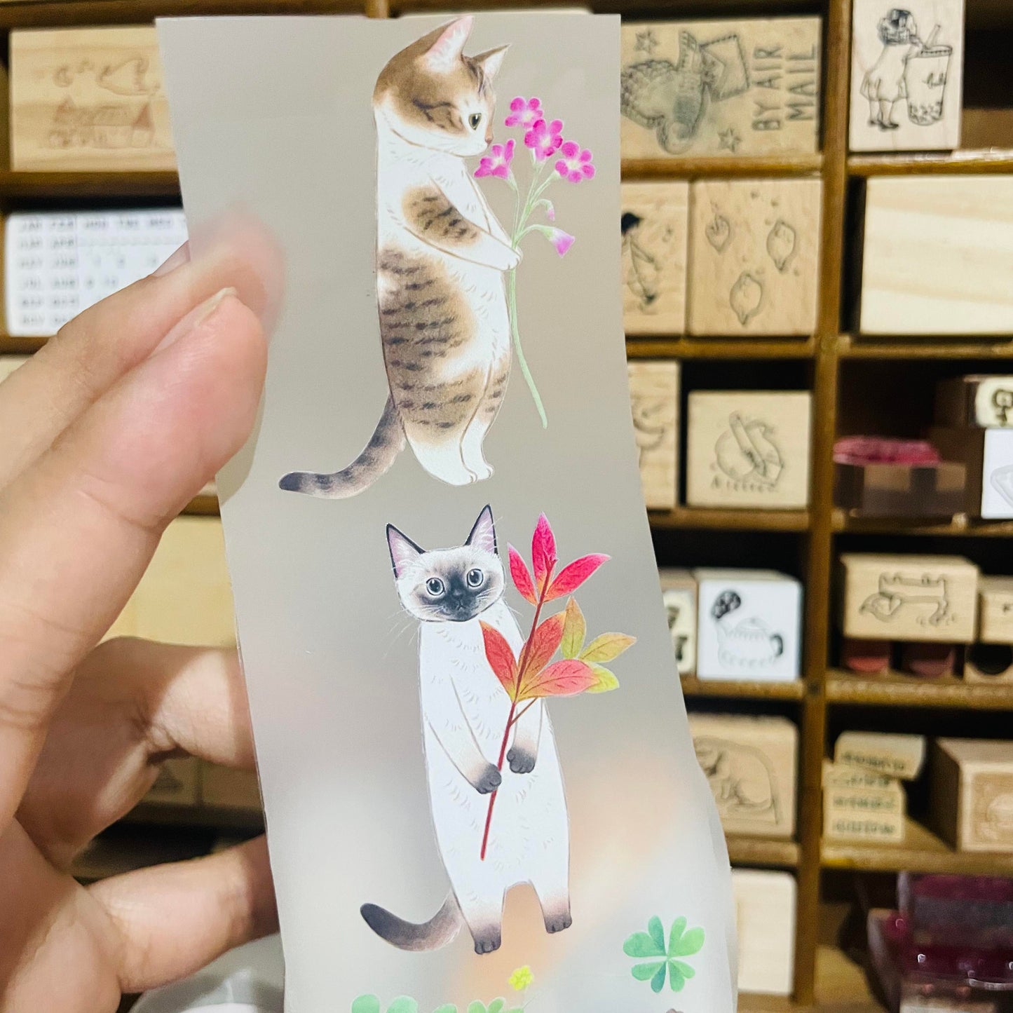Davidcookslove Flower Cats PET Tape Samples and Rolls