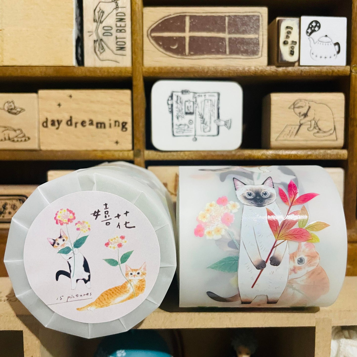 Davidcookslove Flower Cats PET Tape Samples and Rolls