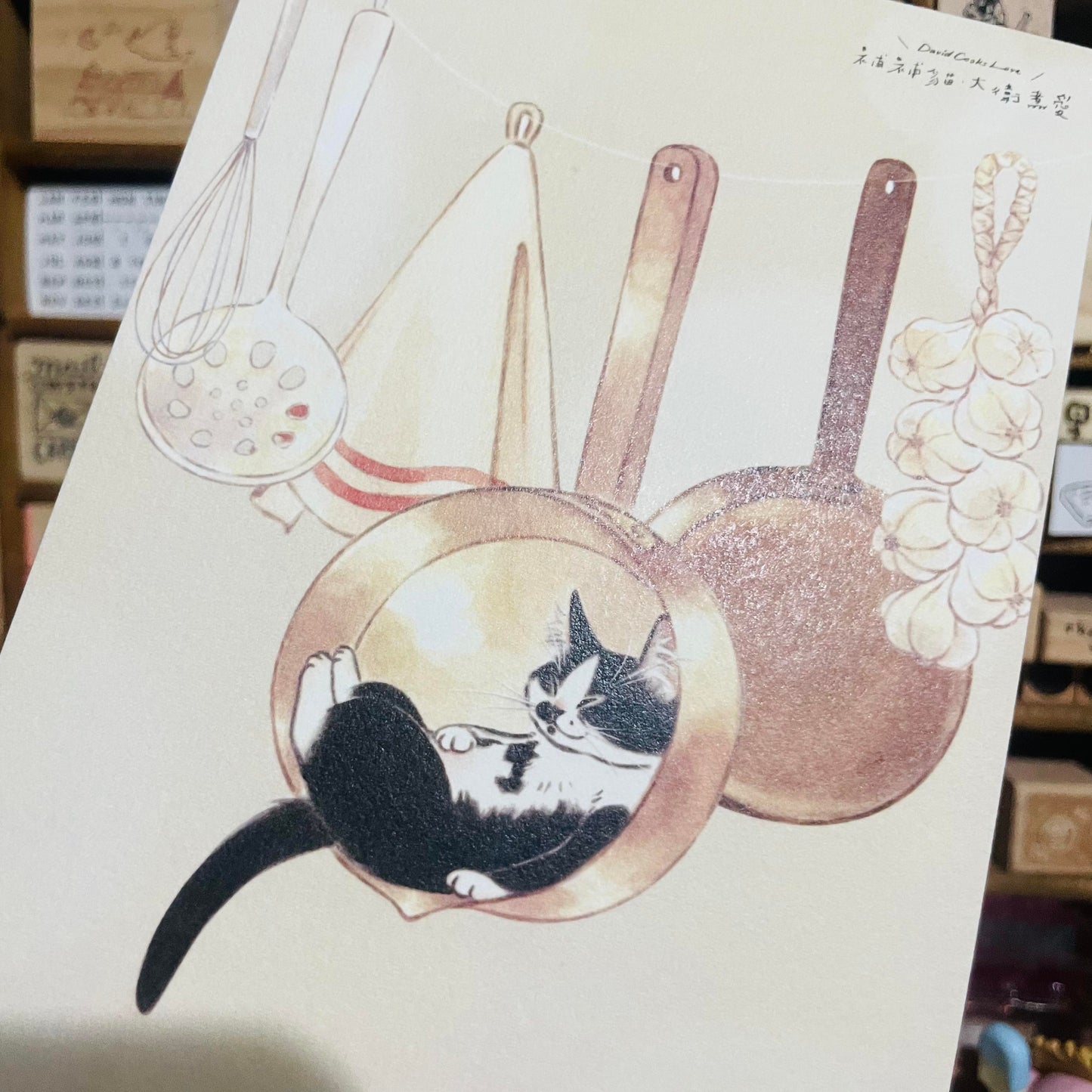 Davidcookslove Sleeping Postcard