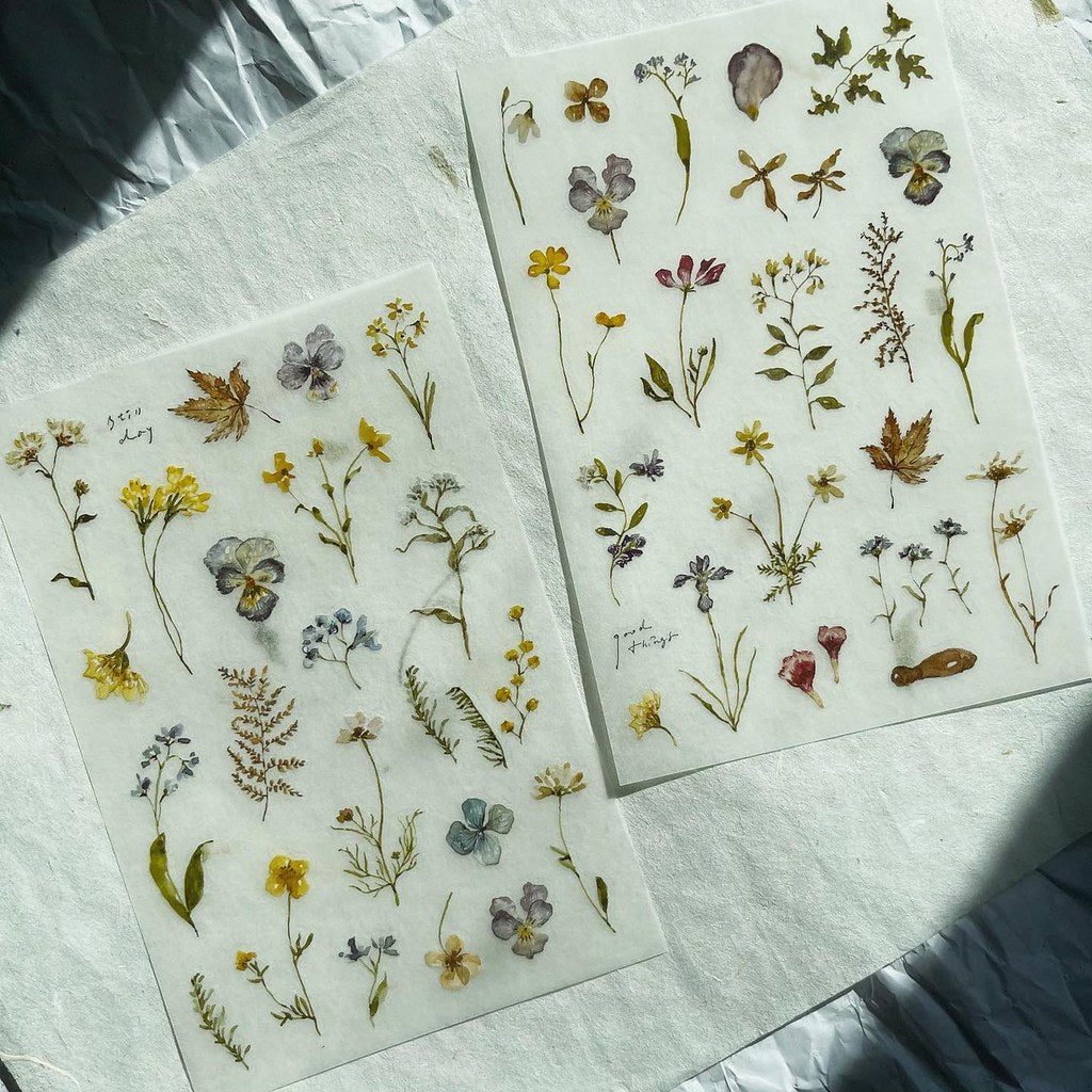 Pion Print-On Transfer Sticker Set Flowers 2