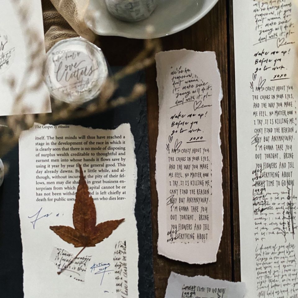 Mr.Eggplants Love Letter Washi Tape Roll and Samples