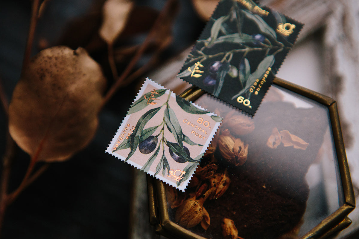 OURS Studio Olive Branches Stamp Style Sticker Set Pack