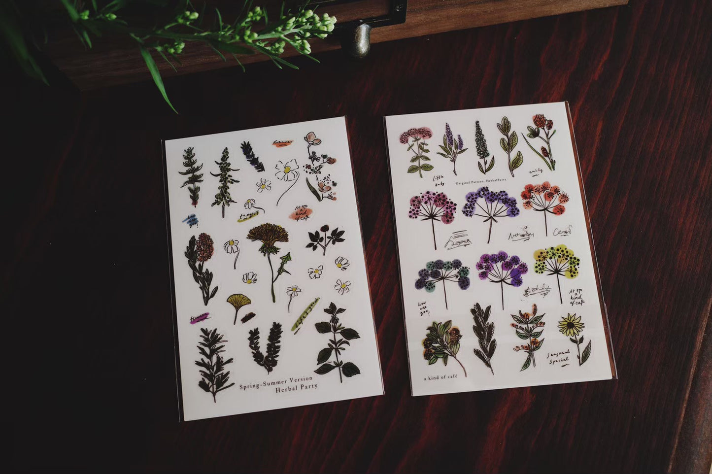 a kind of cafe Spring - Summer Herbal Party Transfer Sticker Sheet