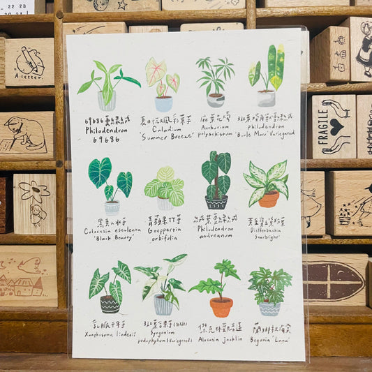 Plant Illustrations Postcard