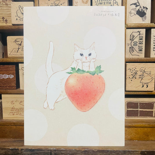 Davidcookslove Strawberry White Cat Postcard