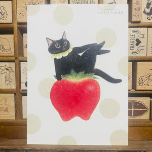 Davidcookslove Strawberry Sexy Black Cat Postcard