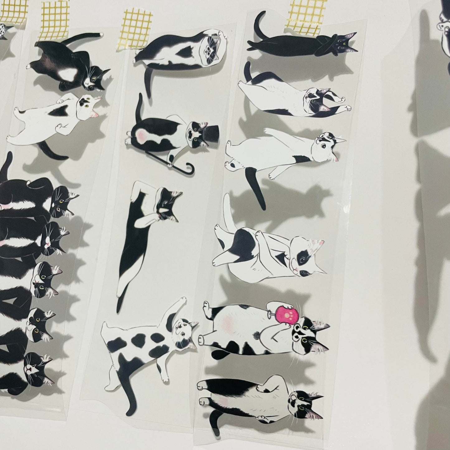 Davidcookslove Black/White Cats PET Tape Samples and Rolls