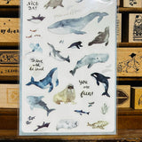 BERG x Pion Whales Walrus and Seals Sticker Sheet