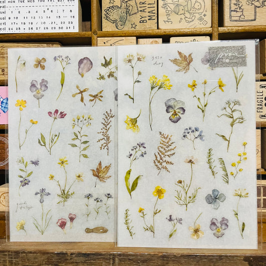 Pion Print-On Transfer Sticker Set Flowers 2