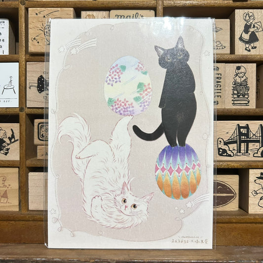 Davidcookslove Egg Postcard