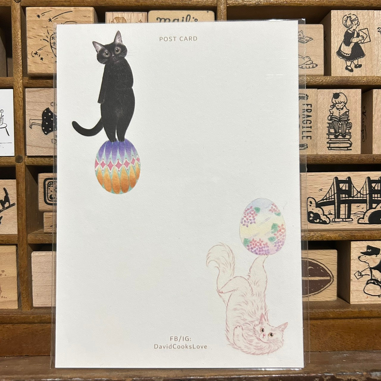 Davidcookslove Egg Postcard