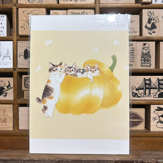 Davidcookslove Pumpkin Postcard