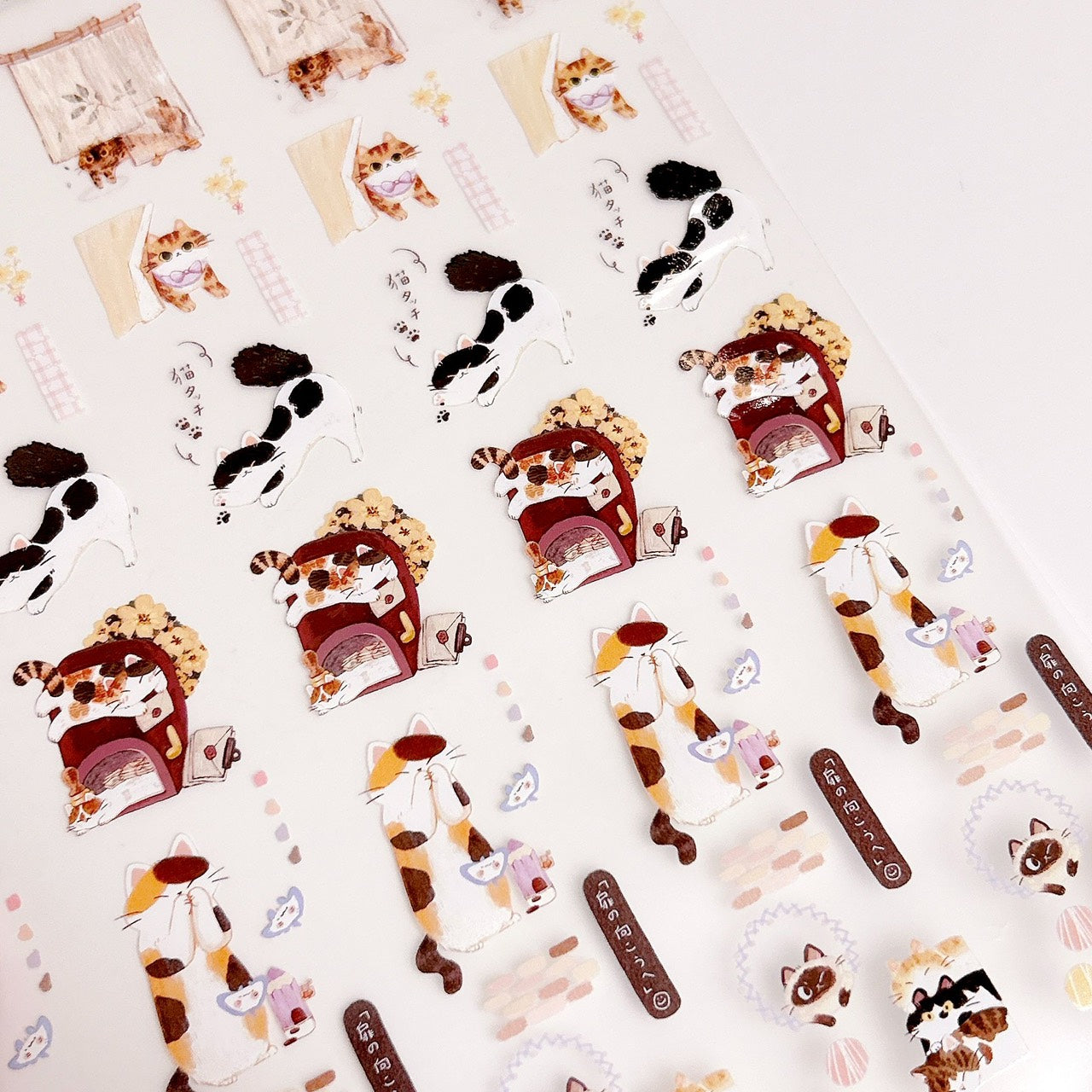 UBEE Cat at Home PET Tape and Samples
