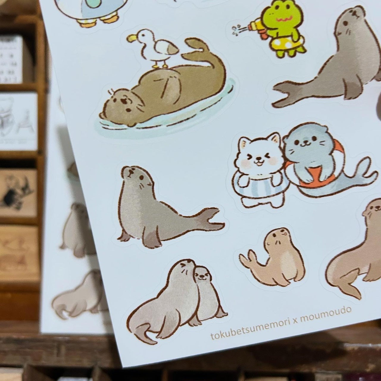 Tokubetsumemori x mou mou do Seal Splash Adventure