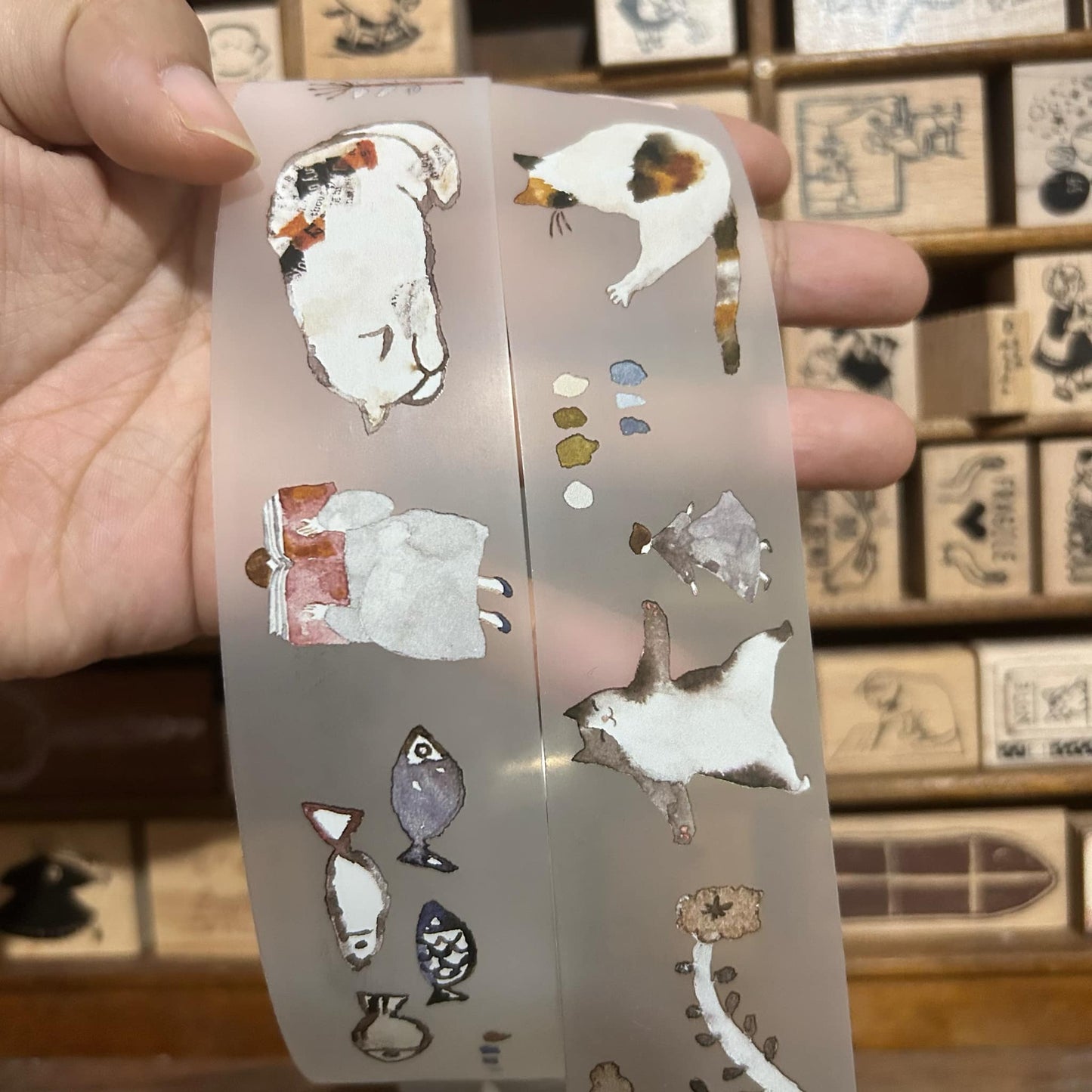 Pion Cat Girl PET Tape Full Roll and Samples