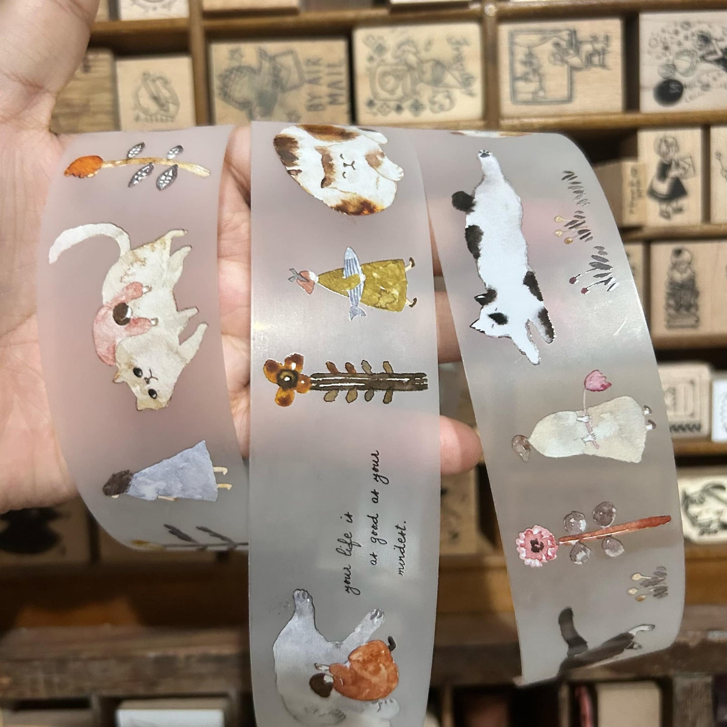 Pion Cat Girl PET Tape Full Roll and Samples