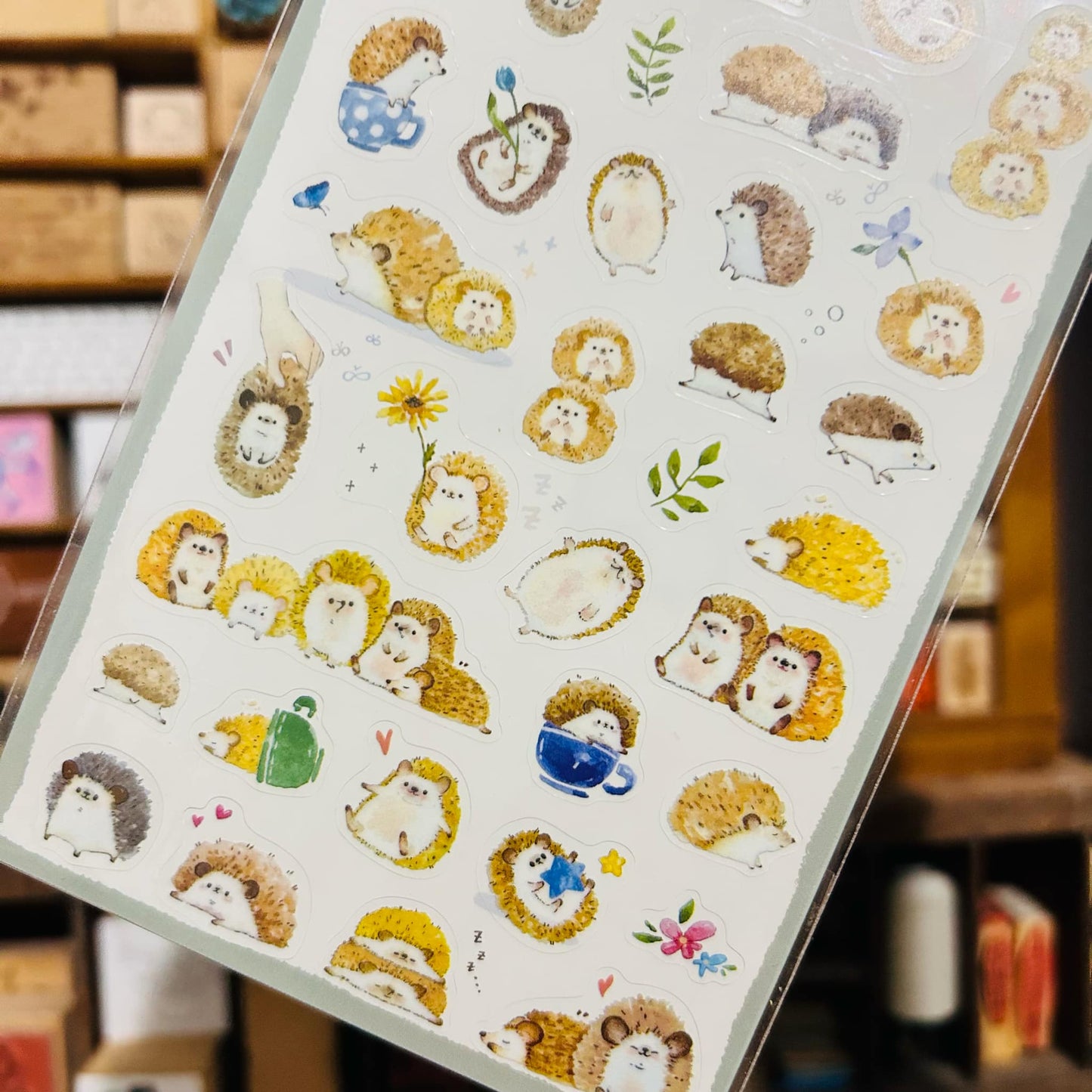 BERG x Pion Porcupine A Transparent Sticker Sheet