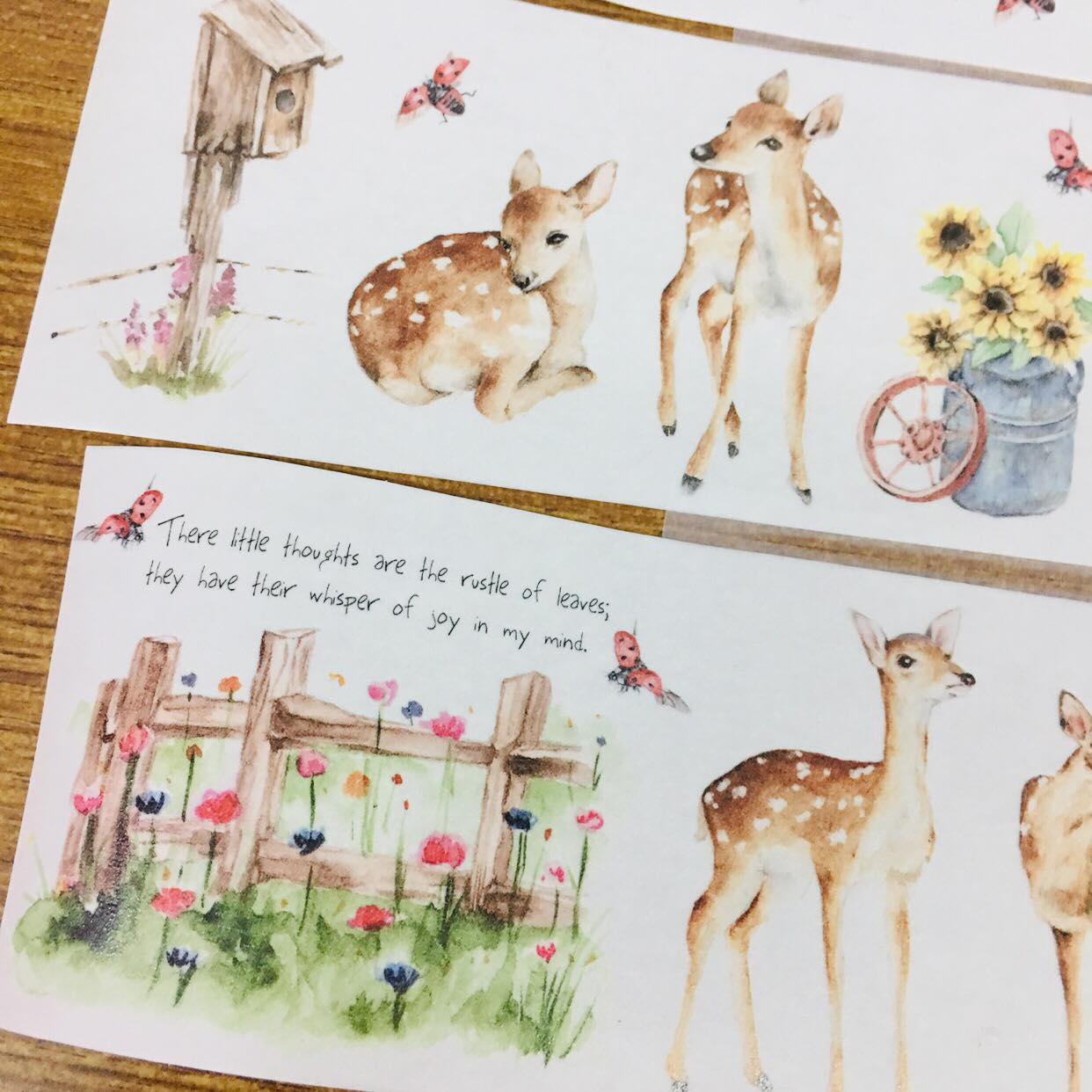 [SAMPLE Last] 62cm Sonia's Illustration Life Deer Washi Masking Tape