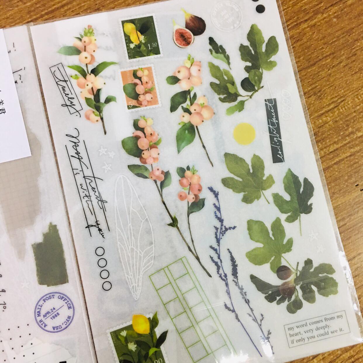 somesortoffern Version 1 Transfer Sticker Sheet Pack