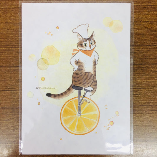 Davidcookslove Single Wheel Bike Postcard