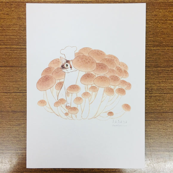 Davidcookslove Cat in Hongxi Mushroom Postcard
