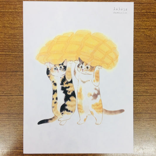 Davidcookslove Mango Landing Postcard