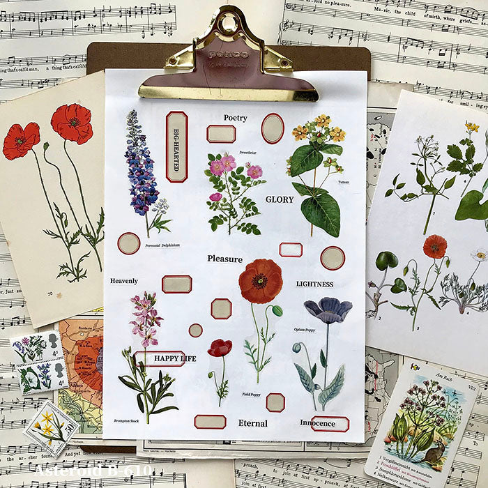 [Samples] Asteroid B-610 Botanical Washi Masking Tape