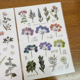 a kind of cafe Spring - Summer Herbal Party Transfer Sticker Sheet