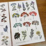 a kind of cafe Original Herbal Party Transfer Sticker Sheet
