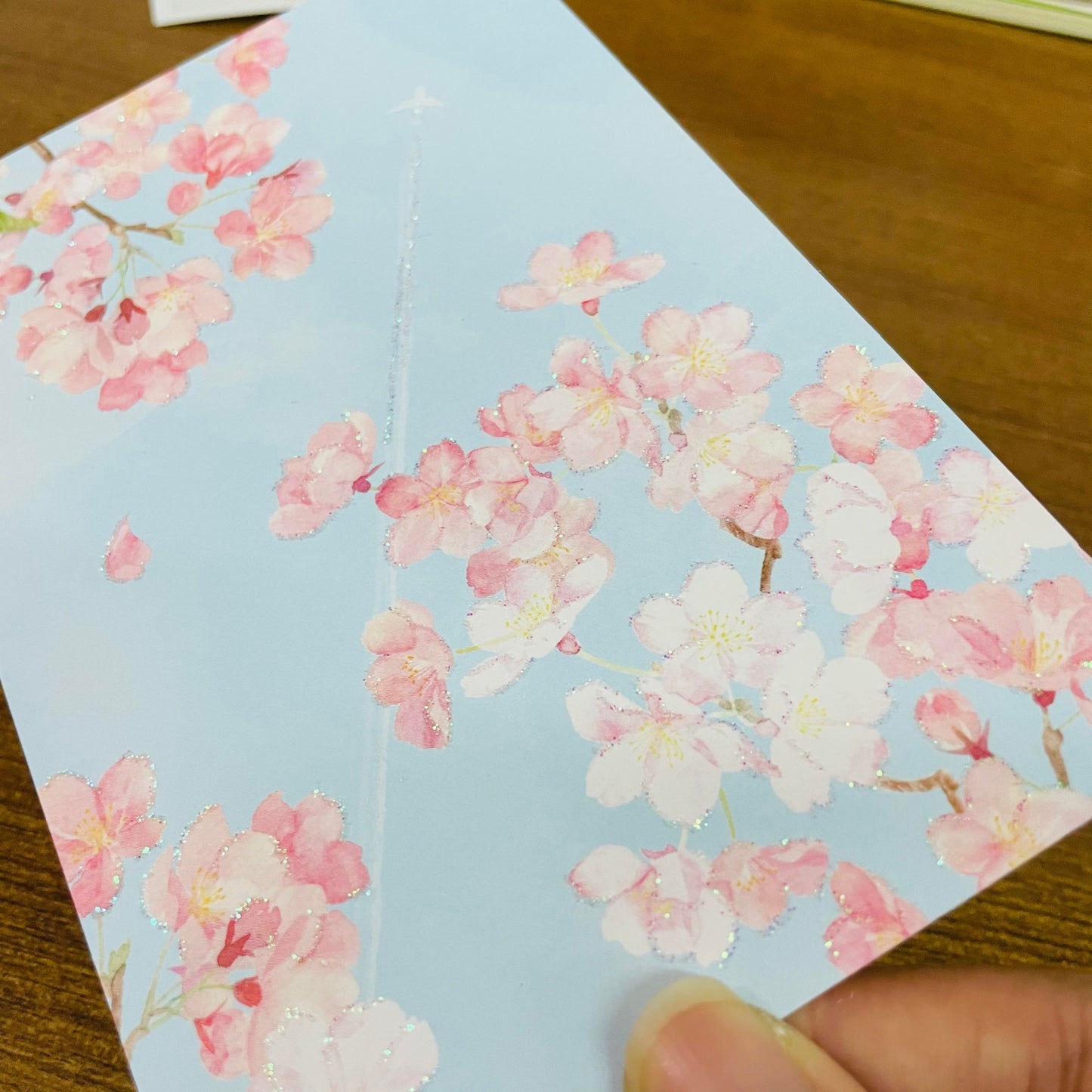 Sanrio Glittering Airplane Sky Sakura Scenery Postcard